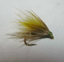 ���� ������ Wet fly 
